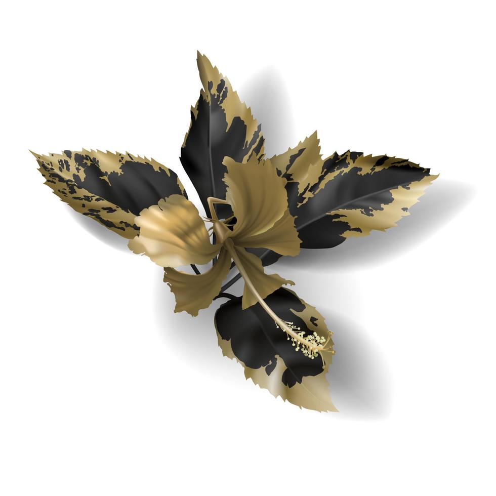 Tropical black and gold leaves on dark background vector