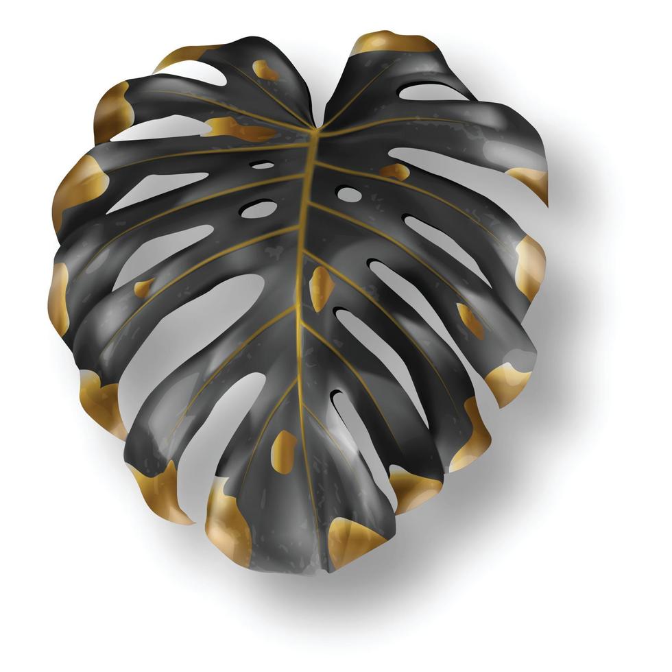 Tropical black and gold monstera leaf vector