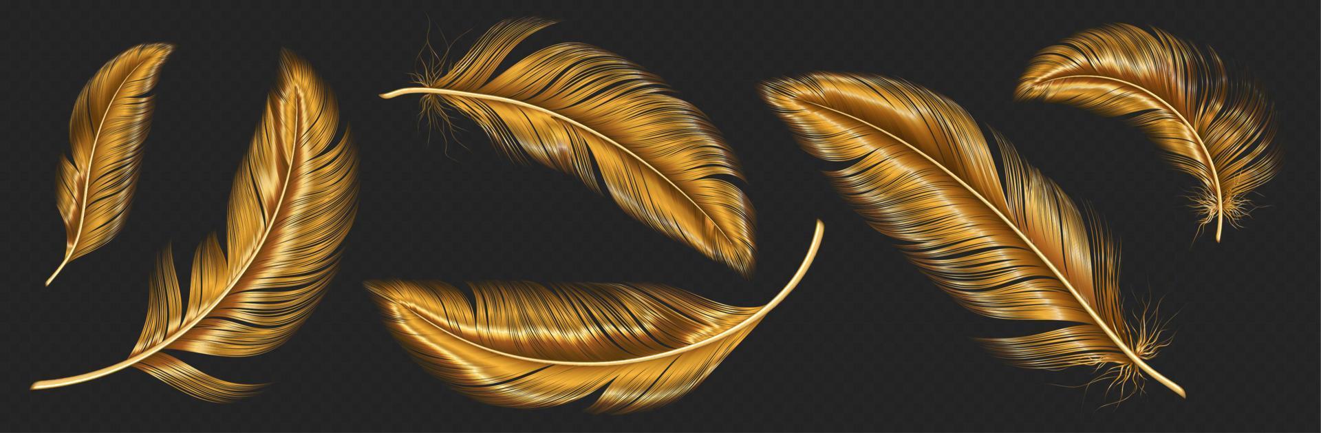 Gold feathers, bird wings plumage vector