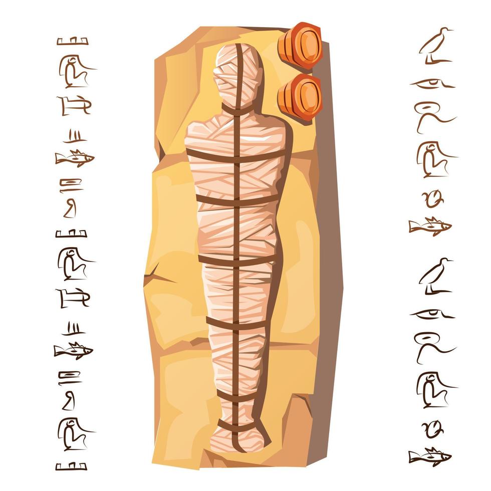 Mummy creation cartoon vector infographic