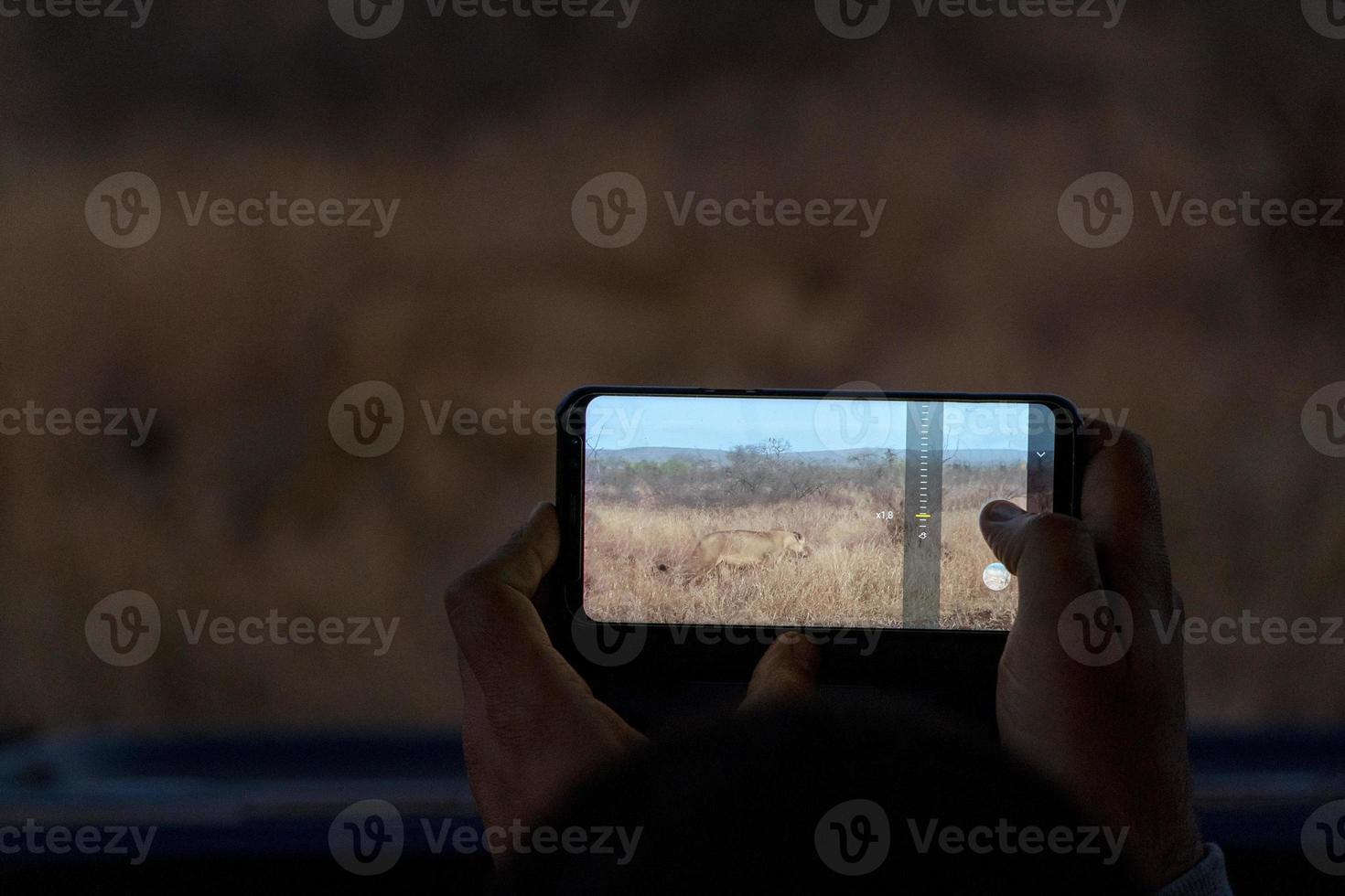 safari photographer taking picture of lion at night in kruger park south africa photo