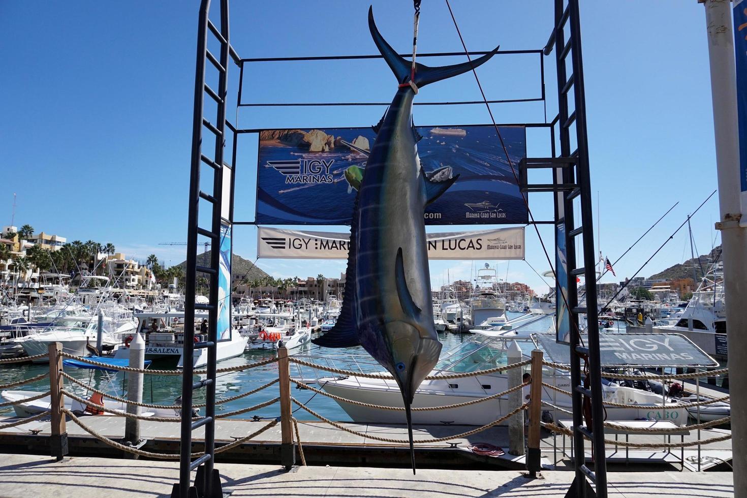 CABO SAN LUCAS, MEXICO - JANUARY 25 2018 - Pacific coast town is crowded of tourist photo