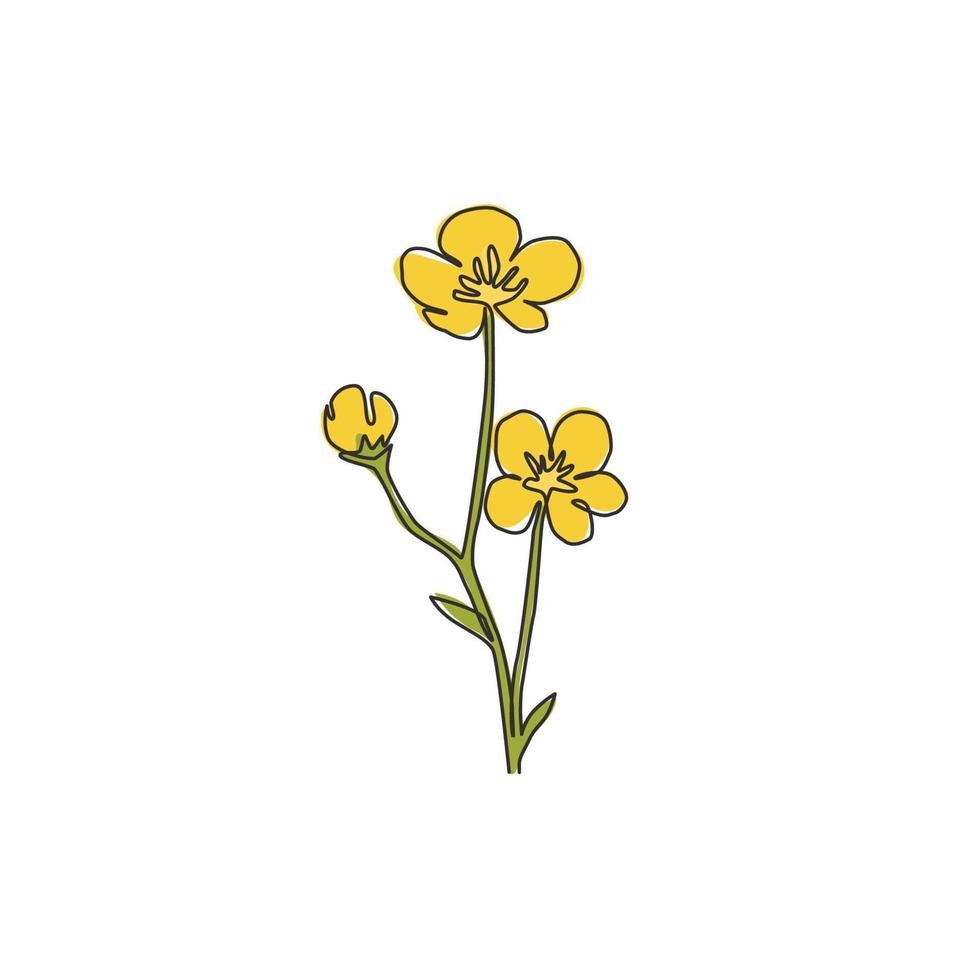 Single one line drawing of beauty fresh ranunculus for garden logo. Printable decorative buttercup flower for home decor wall art poster print. Trendy continuous line draw design vector illustration