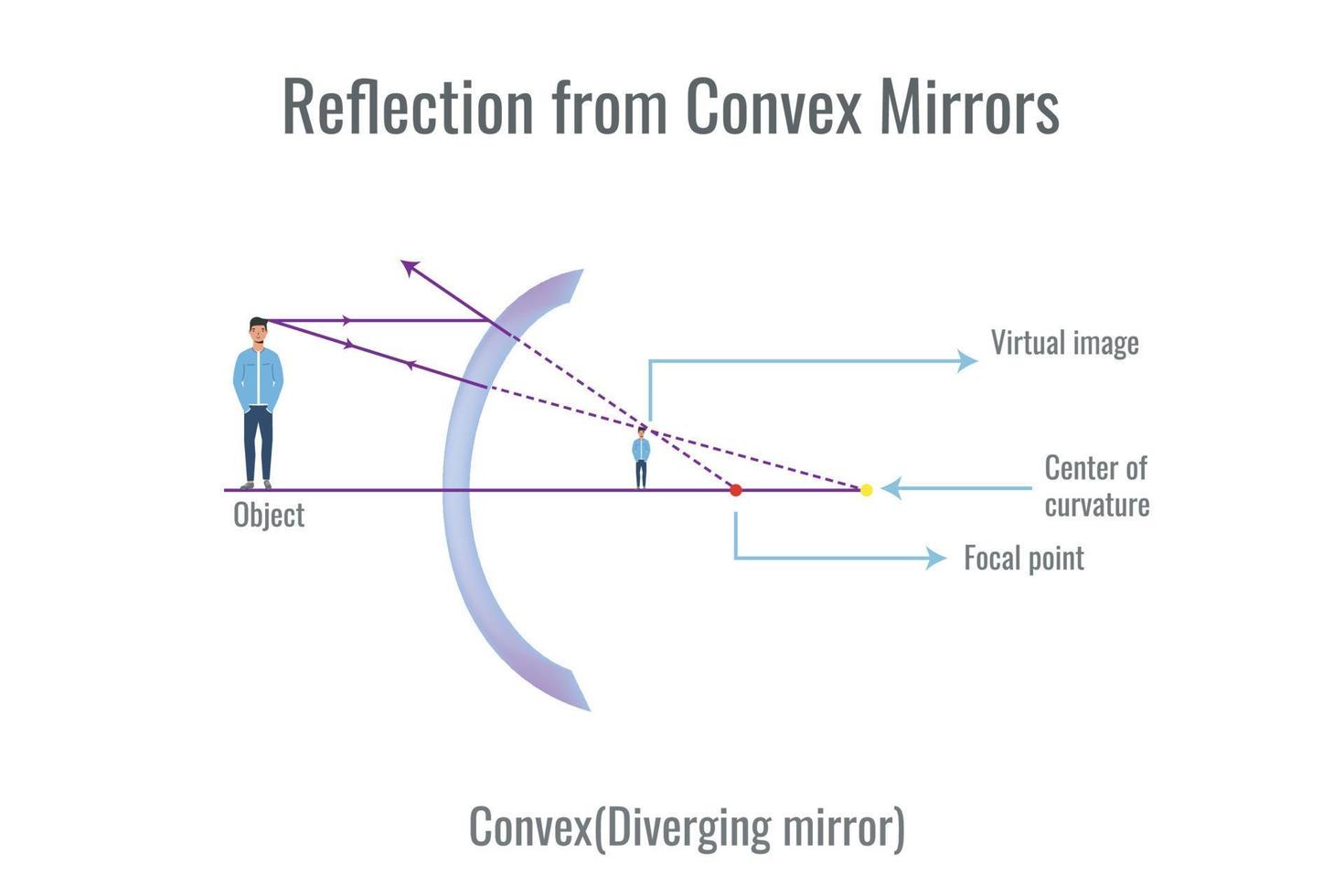 Reflection of light on convex mirror vector