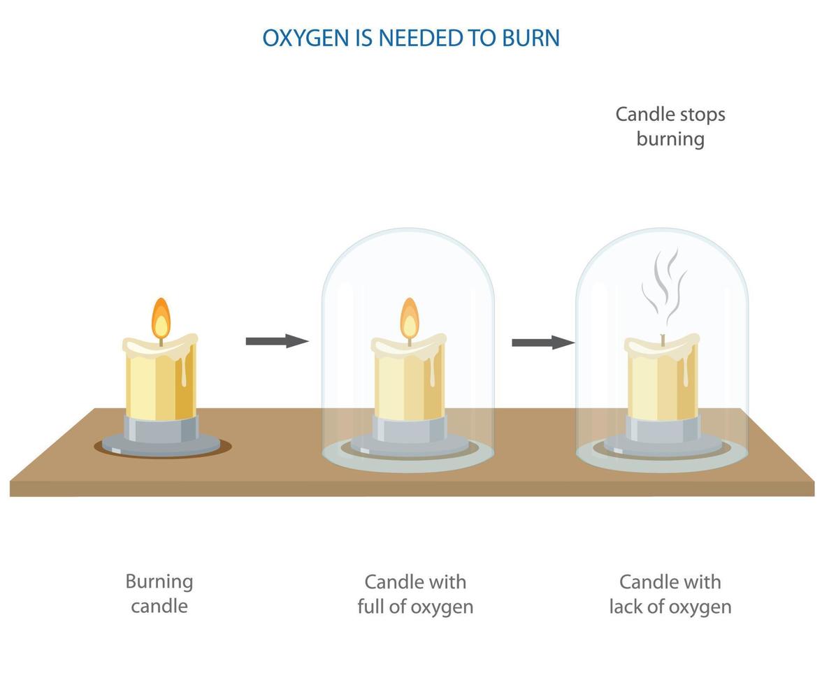 Oxygen is needed for burning a candle vector illustration 20240697