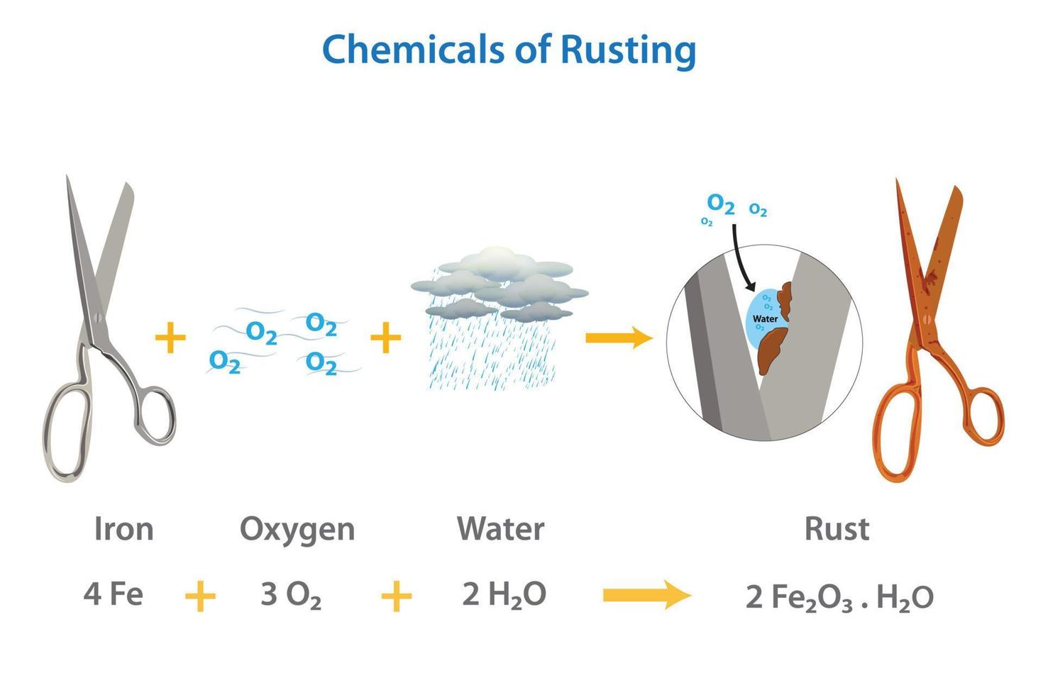 The chemical required for rust formation vector illustration