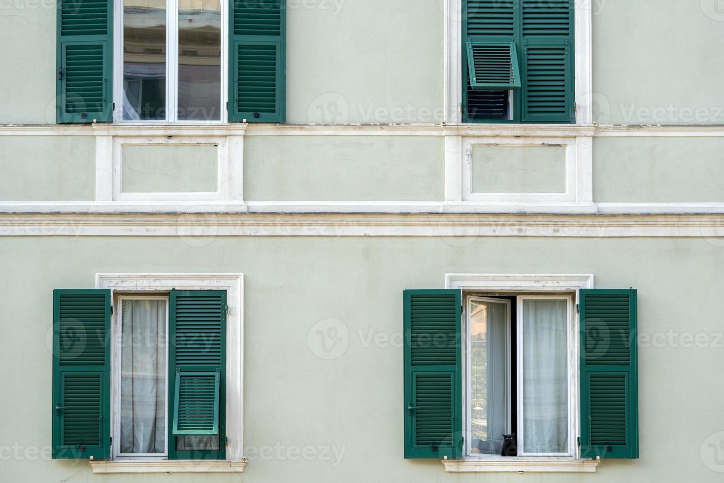 cat on window during coronavirus quarentine in italy photo