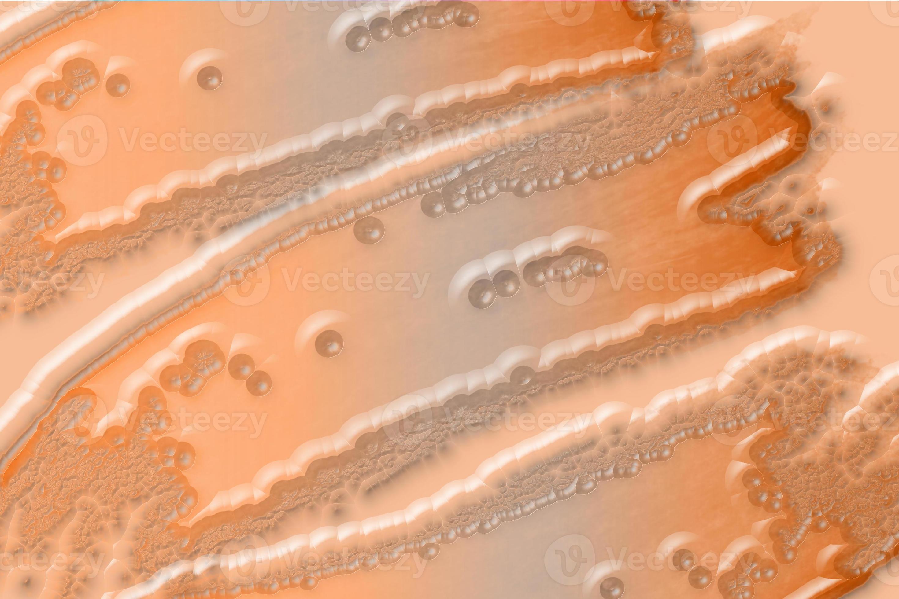 paint brush effect background and wallpaper 20242390 Stock Photo at