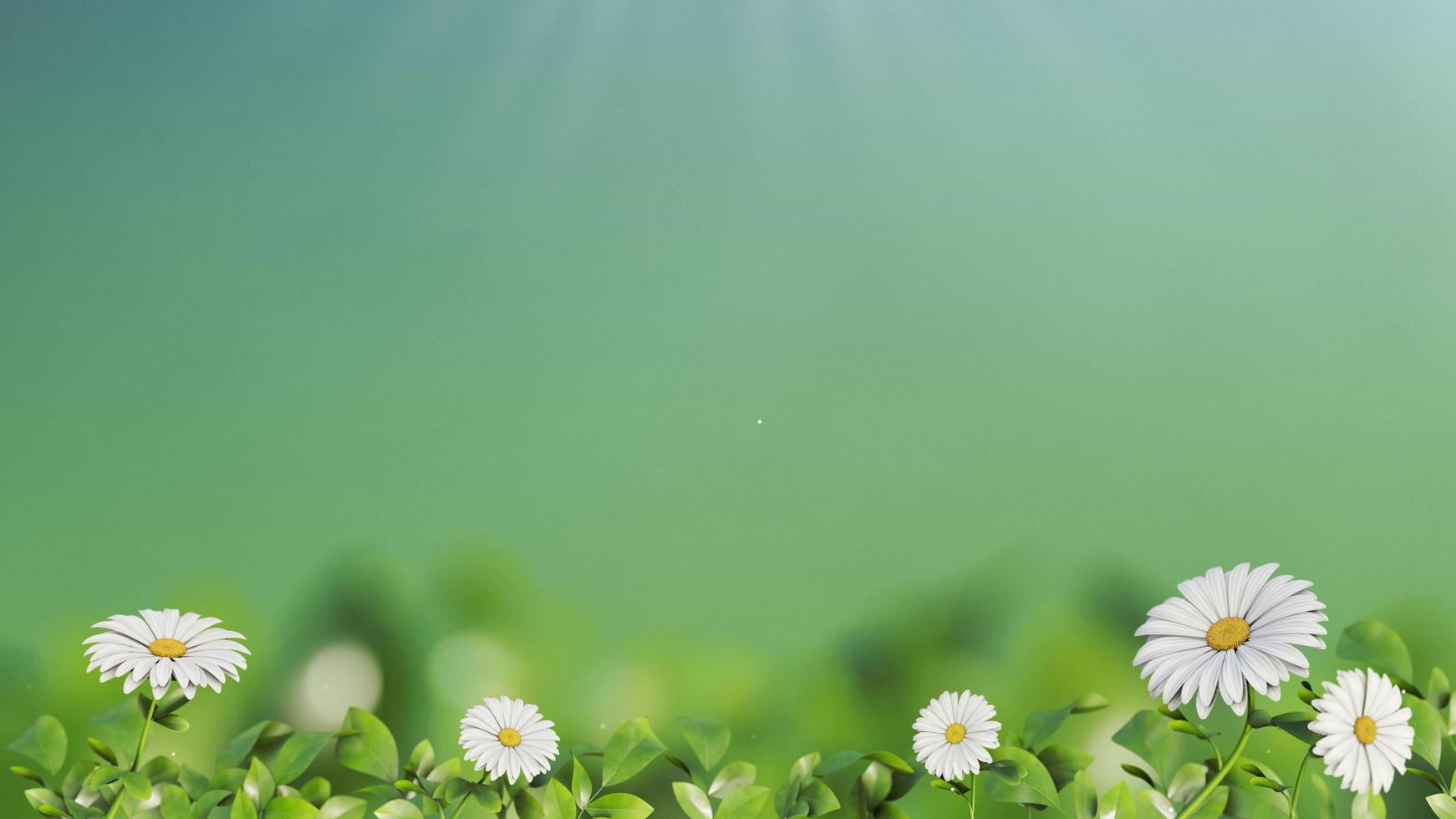 Flower with Green Background photo