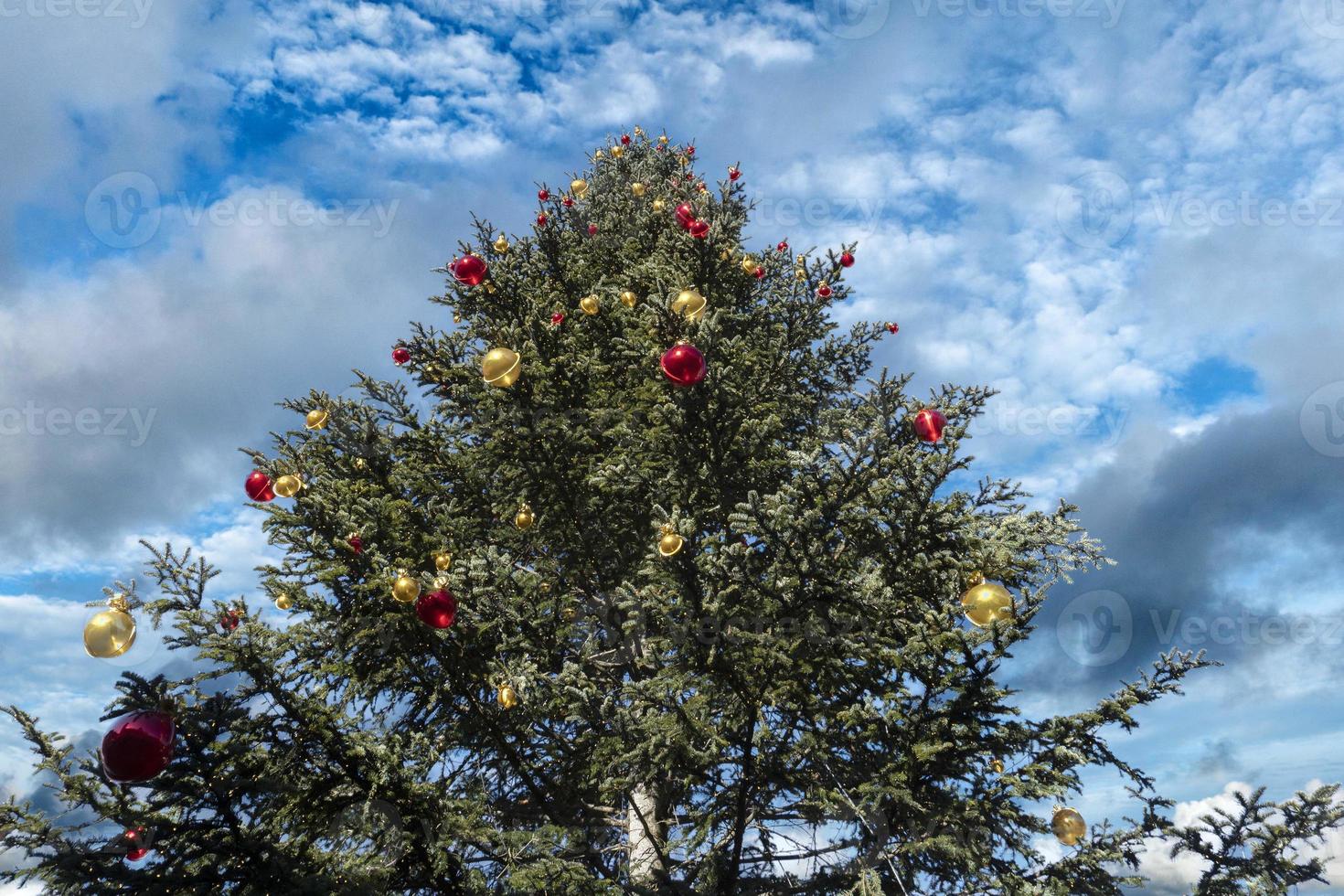 big xmas tree outdoor on cloudy sky background photo