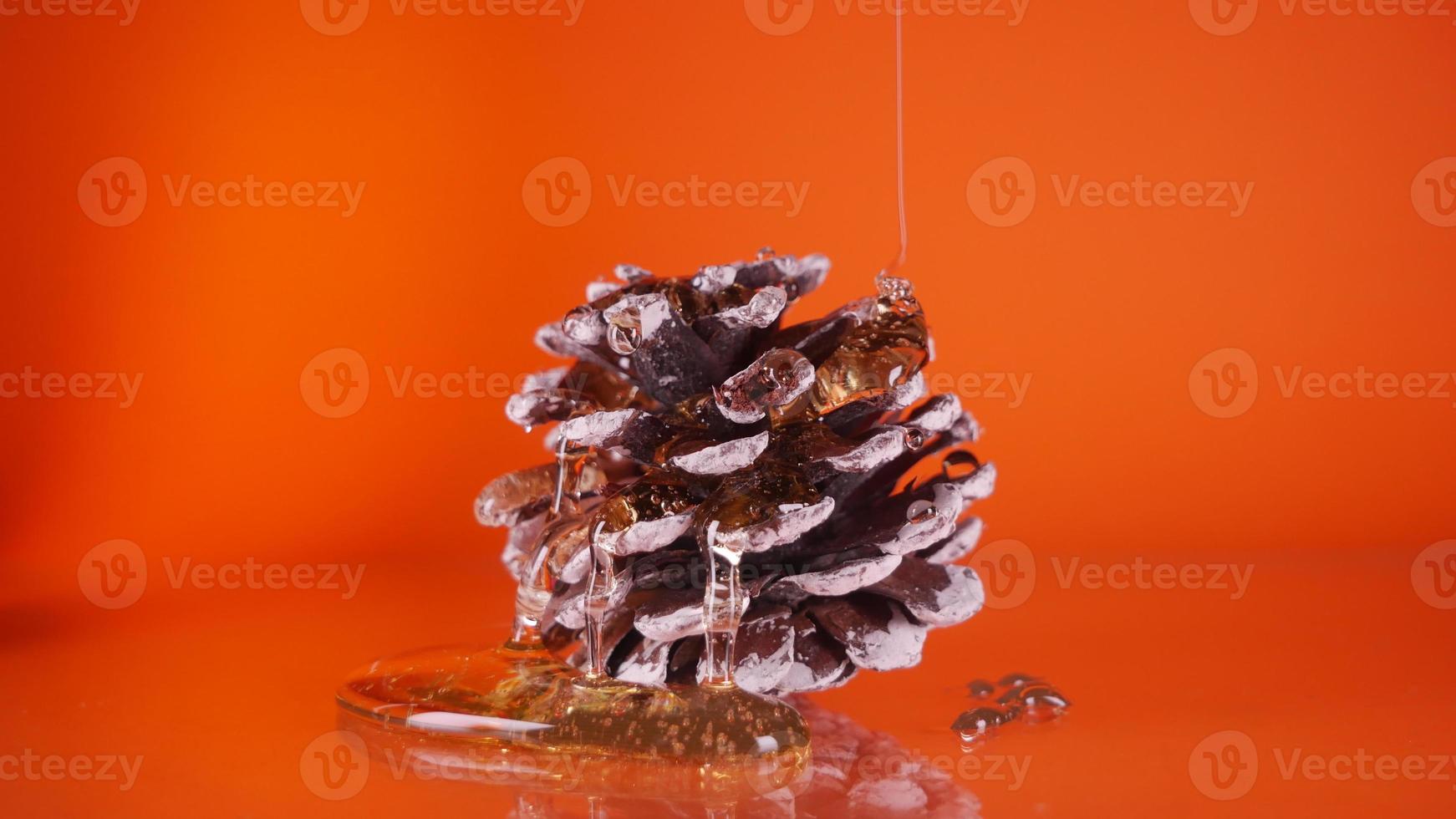 Coniferous cone in honey on an orange background photo