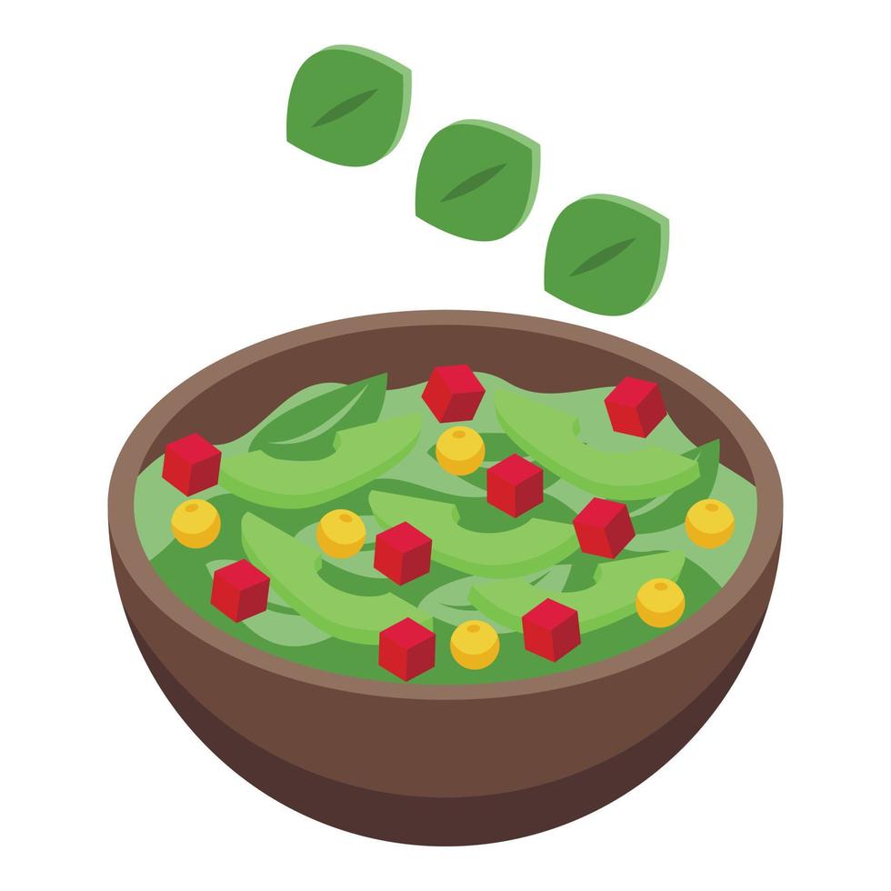 Diet salad icon isometric vector. App fitness vector