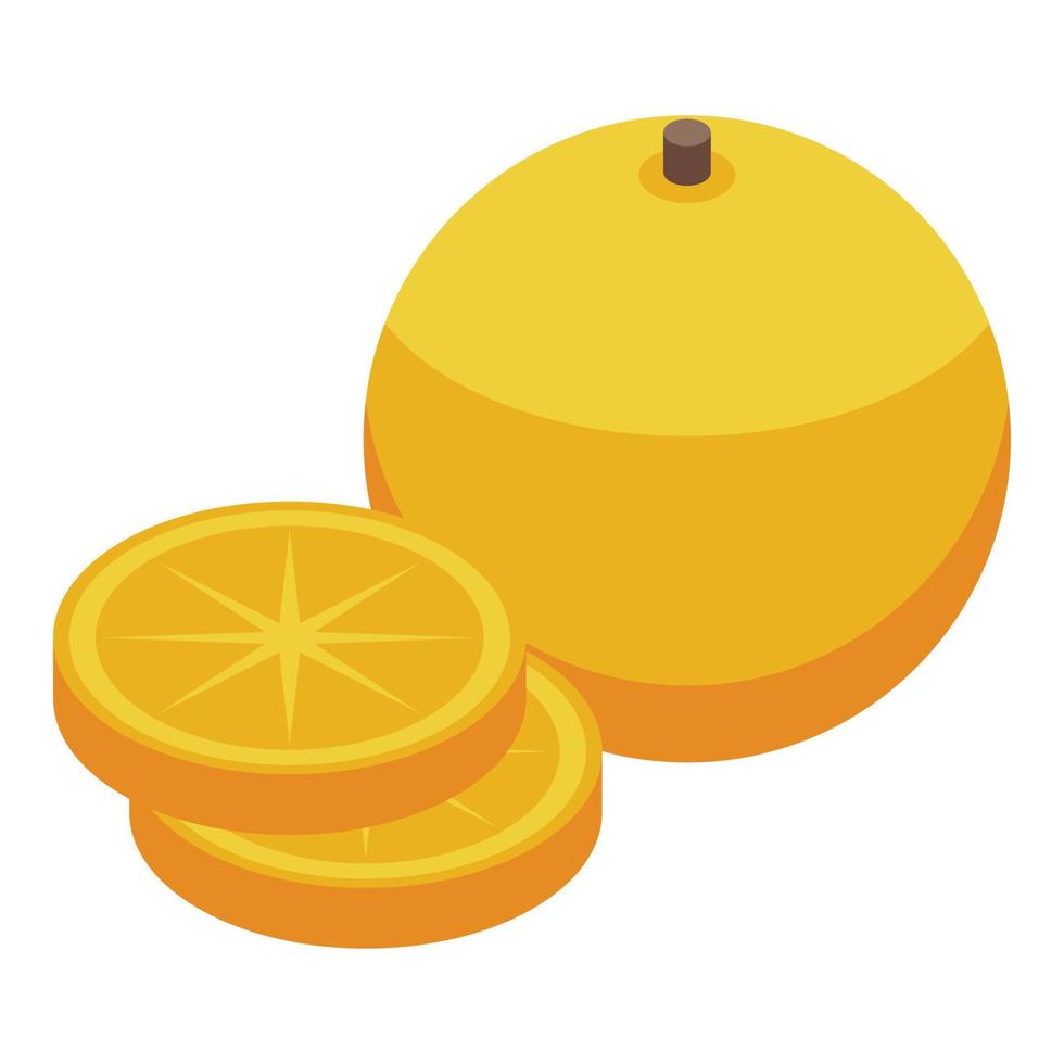 naranja dieta icono isométrica vector. comida nutrición vector