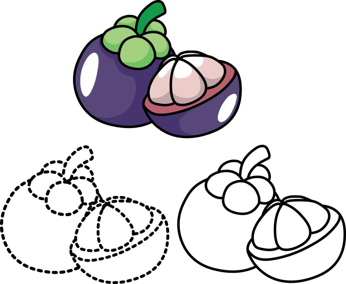 Mangosteen fruit coloring pages vector design