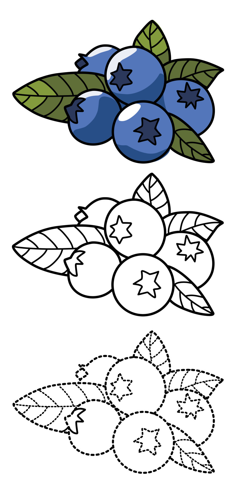 Blueberry coloring page vector folha de trabalho educacional colorida por  amostra jogo de pintura crianças pré-escolares