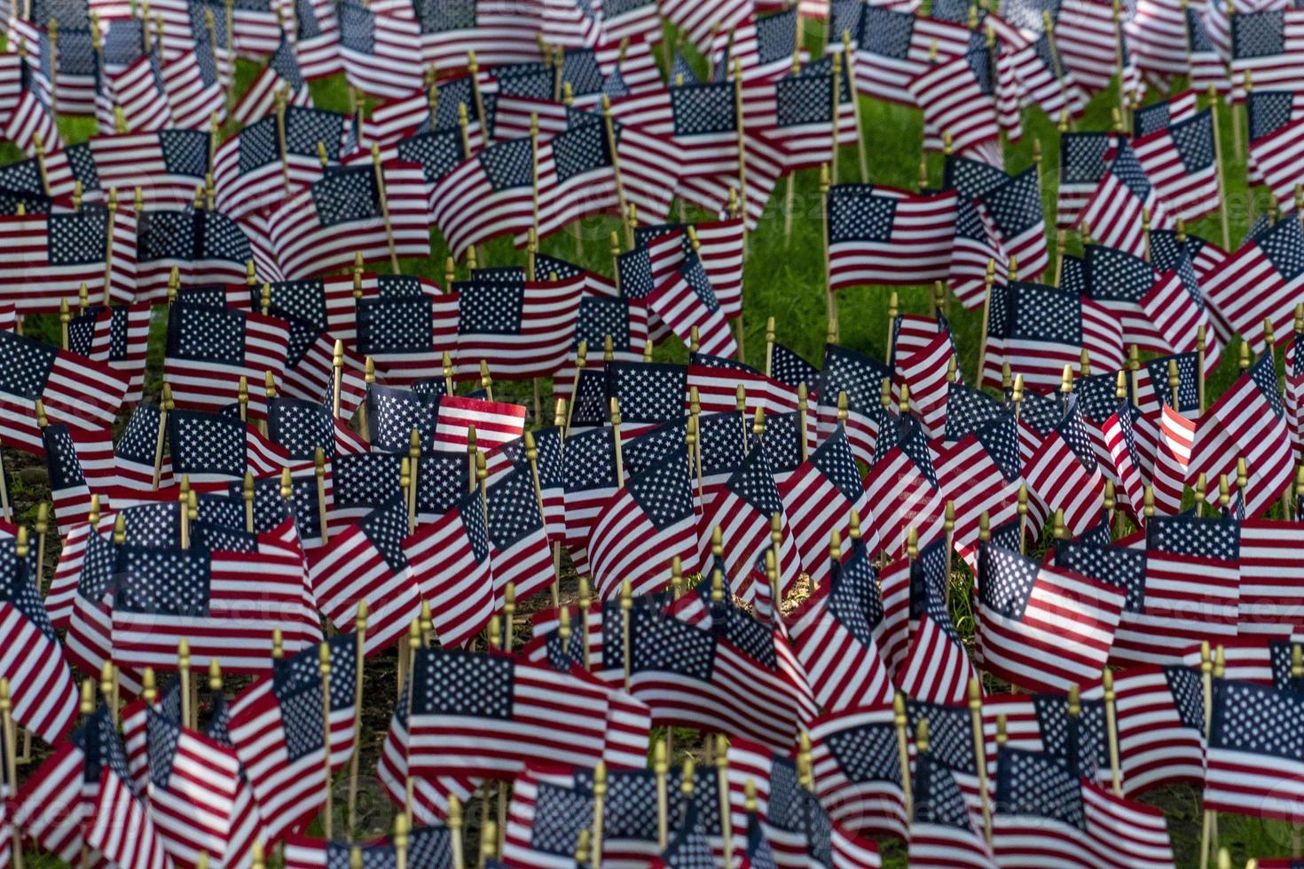 Many usa flags on green field photo