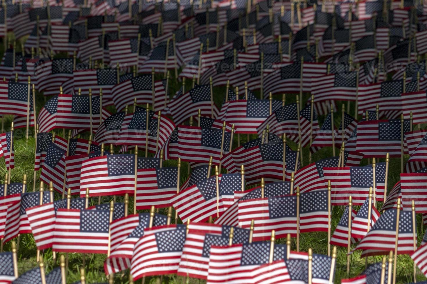 Many usa flags on green field photo