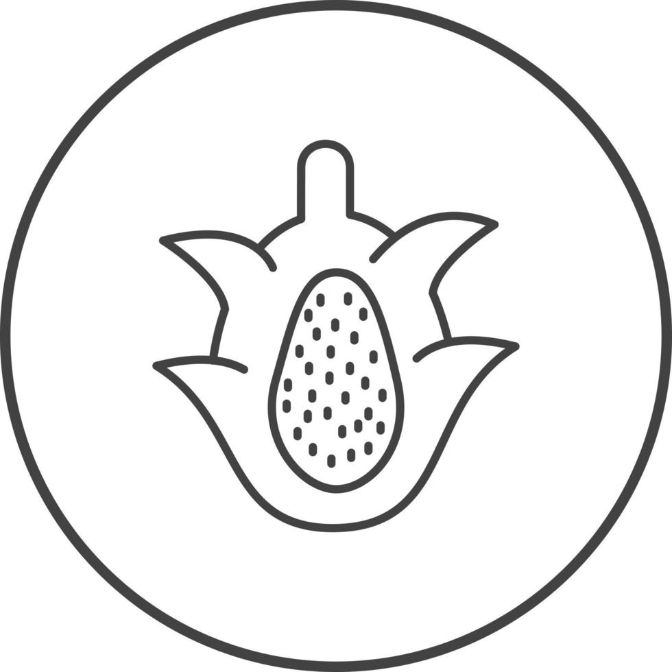 Dragon Fruit Vector Icon