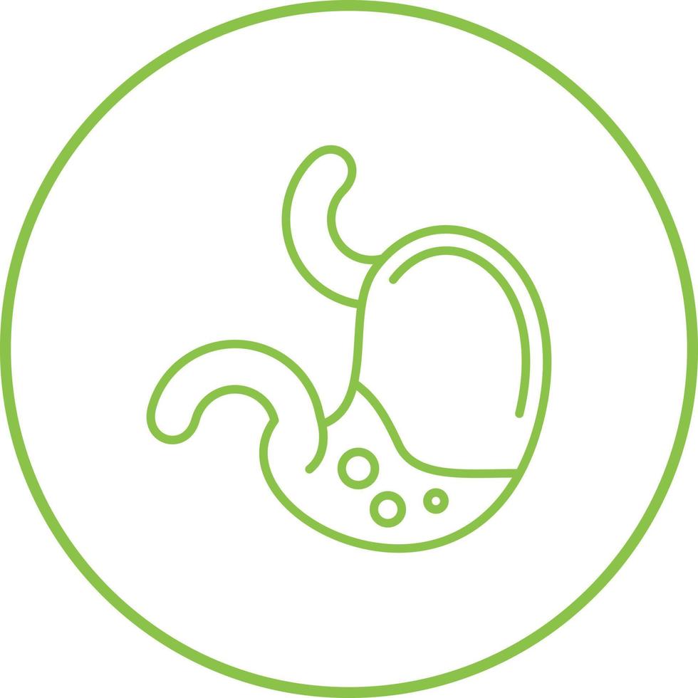 Stomach Vector Icon