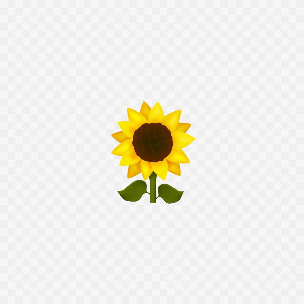 Sunflower emoji icon. Isolated on white. Yellow flower. Vector
