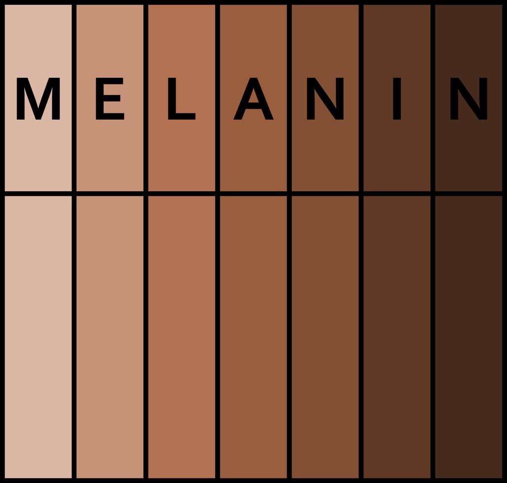 Shades of human skin. Melanin, skin pigment. Black lives matter. vector