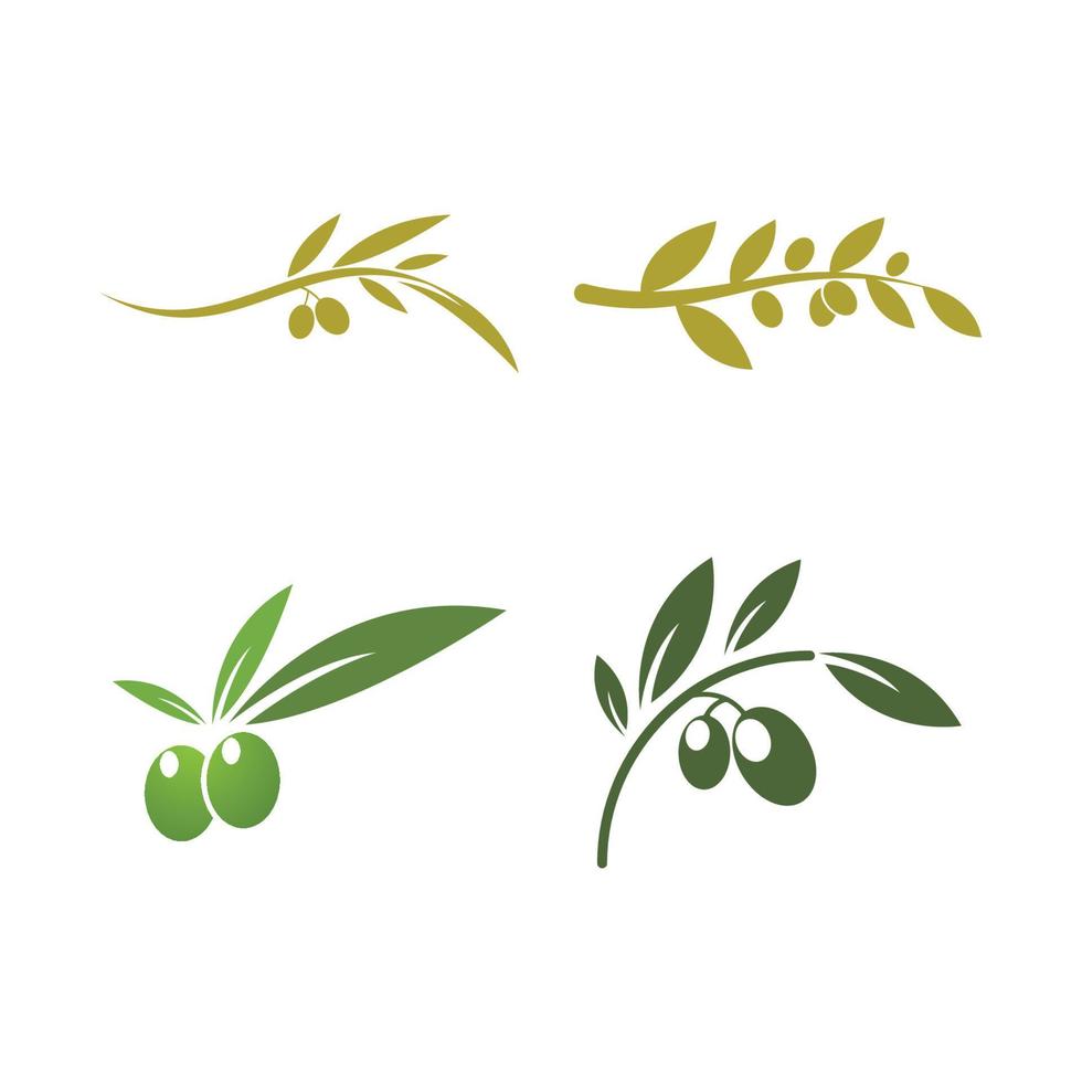 olive logo template vector