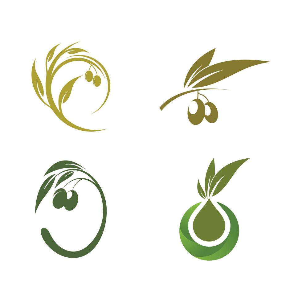 plantilla de logotipo de oliva vector