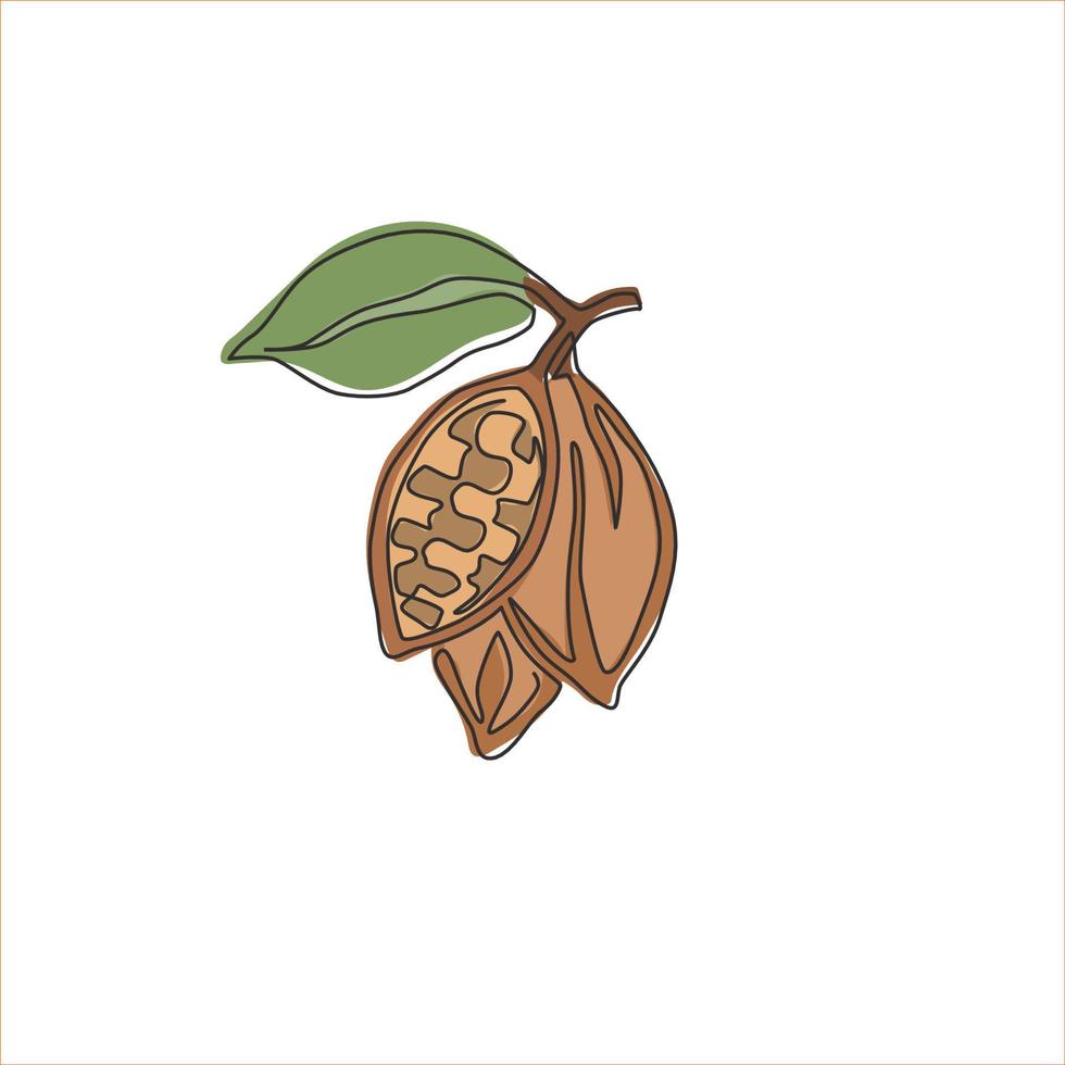 Single continuous line drawing of whole healthy organic cocoa bean for plantation logo identity. Fresh cacao concept for chocolate shop icon. Modern one line draw design vector graphic illustration