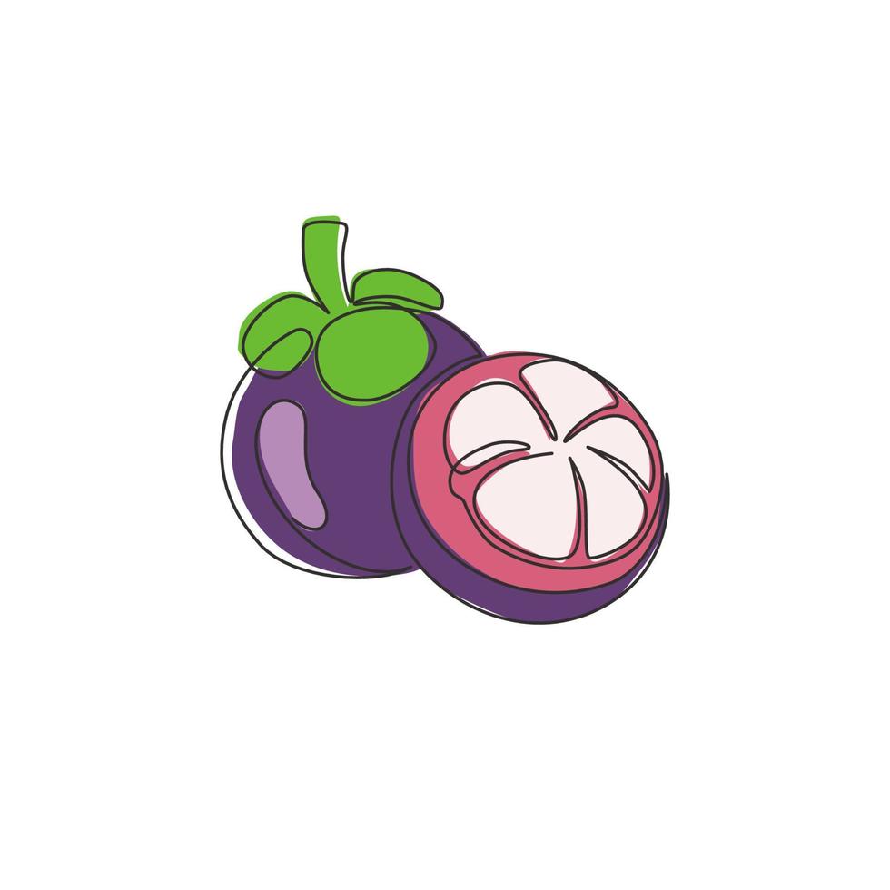 One single line drawing whole and half sliced healthy organic mangosteen for orchard logo identity. Fresh concept for fruit garden icon. Modern continuous line draw design graphic vector illustration