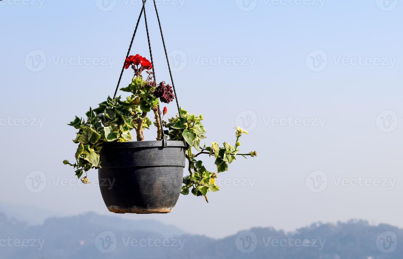 Early morning view of Modern rooftop restaurant at Kasauli, Himachal Pradesh in India, View of mountain hills from open air restaurant in Kasauli, Kasauli Rooftop restaurant photo