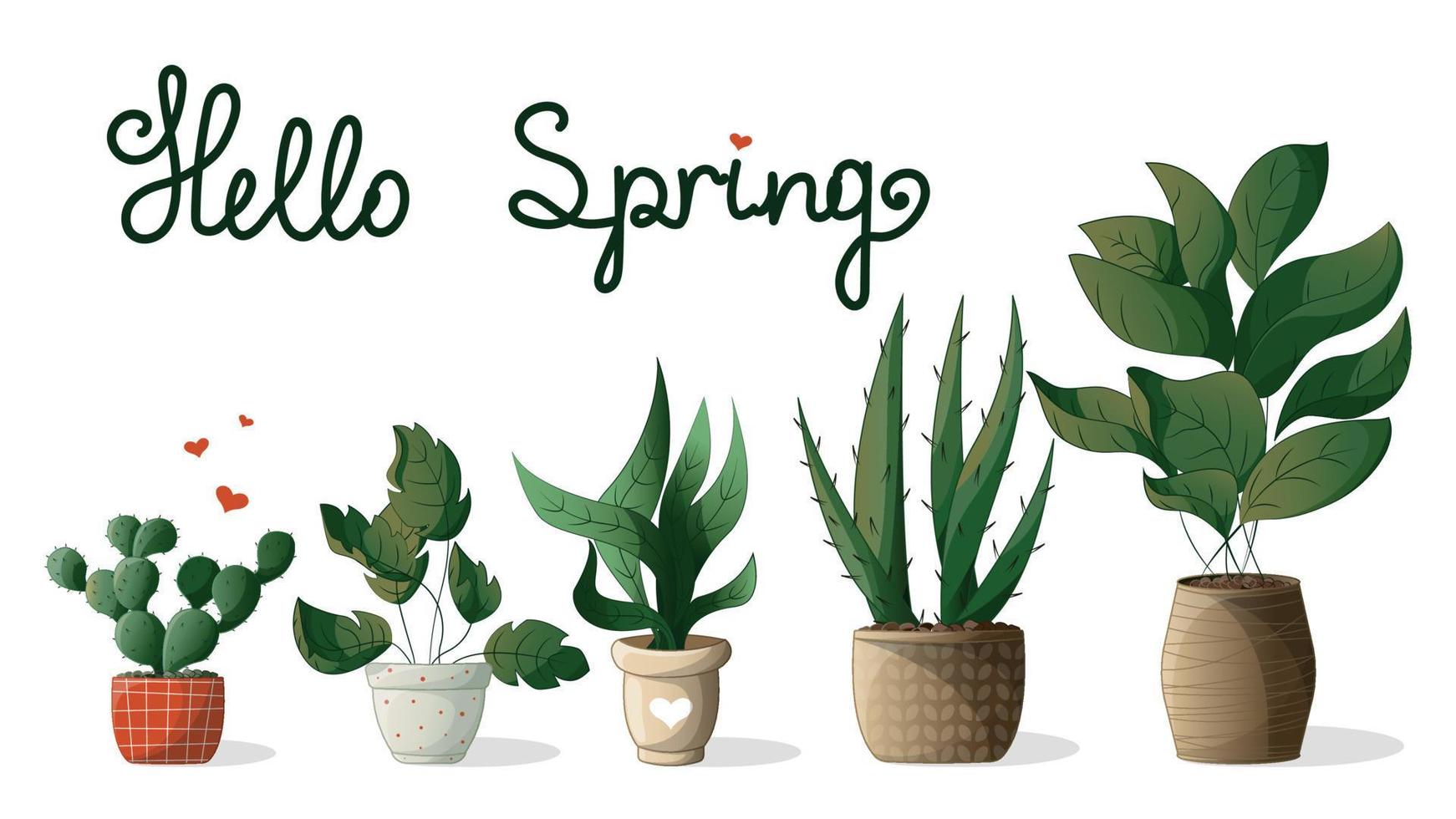 un conjunto de ollas, cactus, un primavera conjunto con casa plantas, planta de casa, hogar jardín, jardinería, planta amante, planta de casa Tienda concepto, invernadero vector