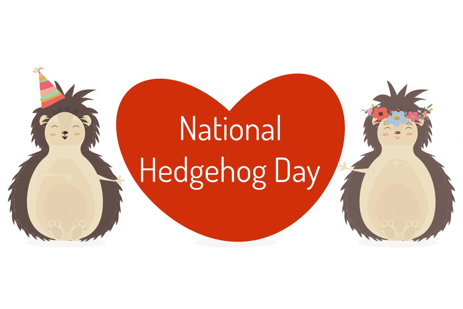 National Hedgehog Day 2025 Lanni Modesta