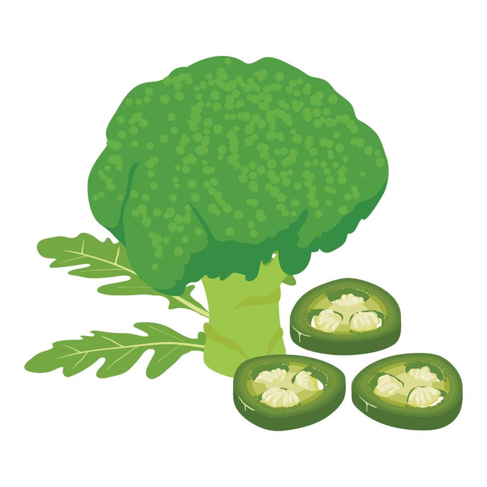 Green vegetable icon isometric vector. Broccoli ruccola green hot pepper slice vector