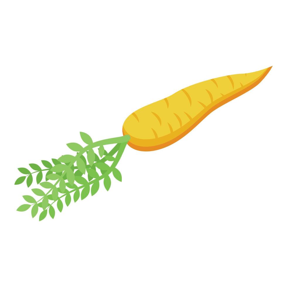 Garden carrot icon isometric vector. Food drink vector