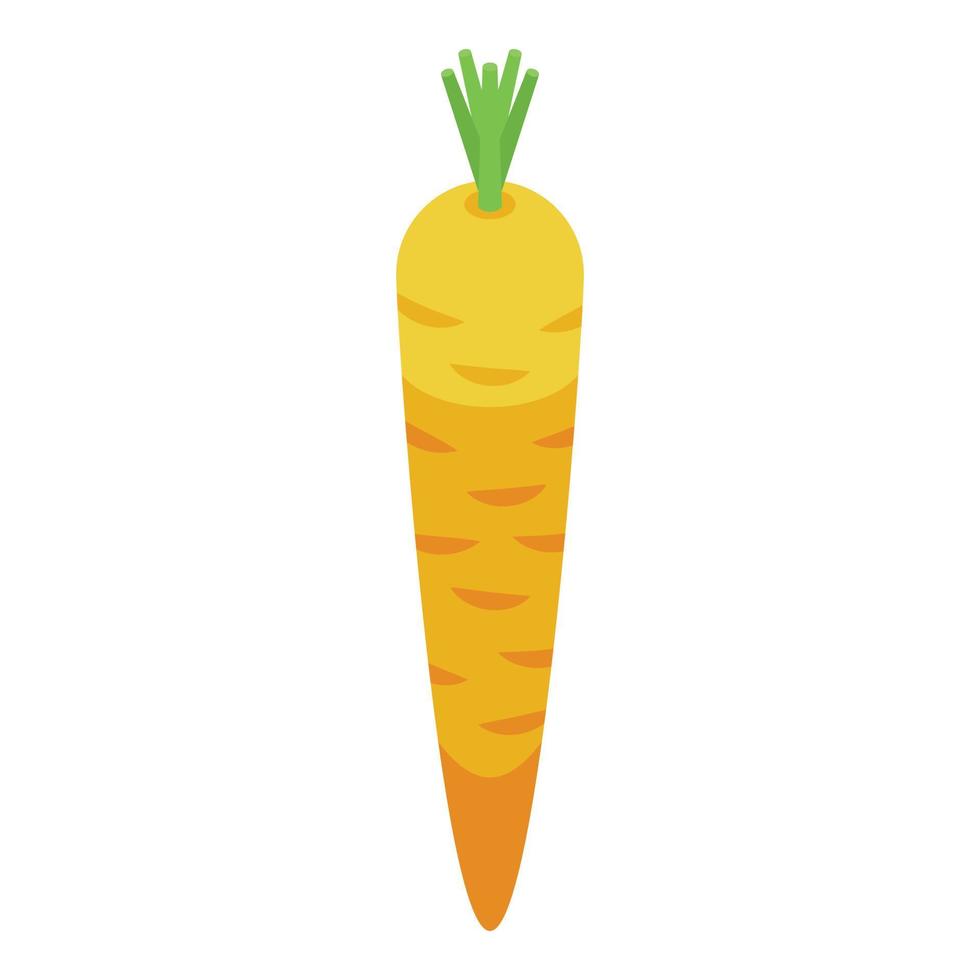 Fresh carrot icon isometric vector. Juice food vector