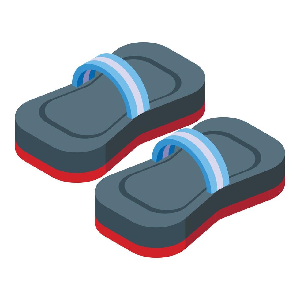Kitesurfing slippers icon isometric vector. Air wave vector