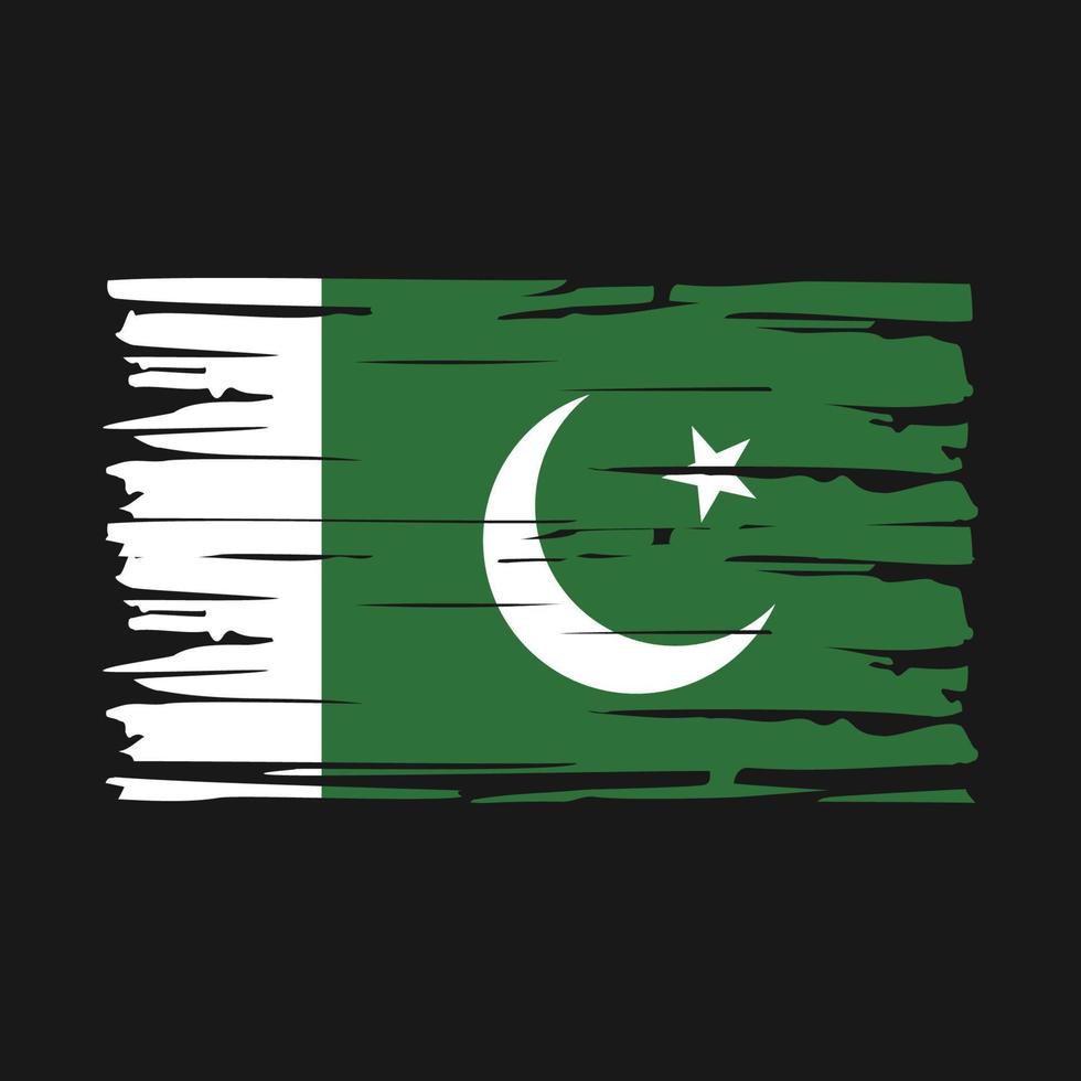 cepillo de bandera de pakistán vector