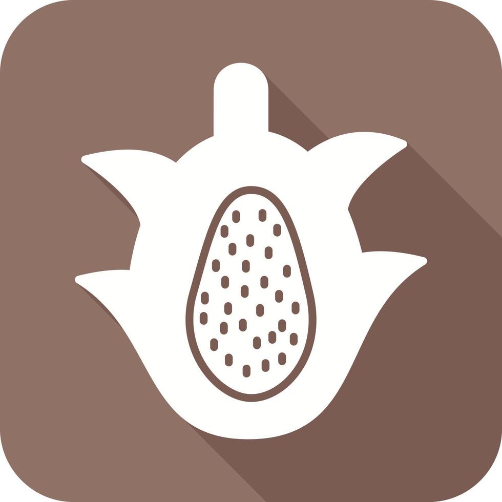 Dragon Fruit Vector Icon