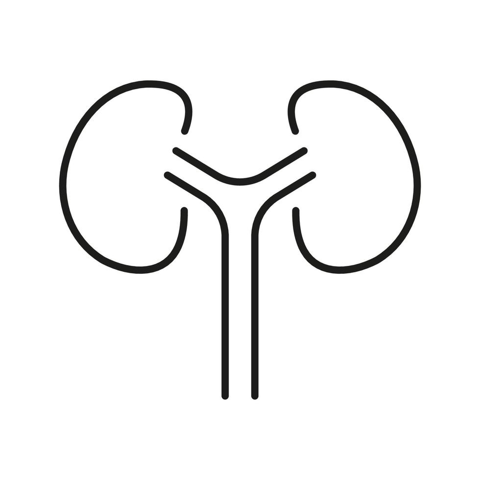 humano riñón línea icono. interno anatomía de renal Organo lineal pictograma. médico urología, nefrología contorno icono. riñones enfermedad, diálisis tratamiento. editable ataque. aislado vector ilustración.