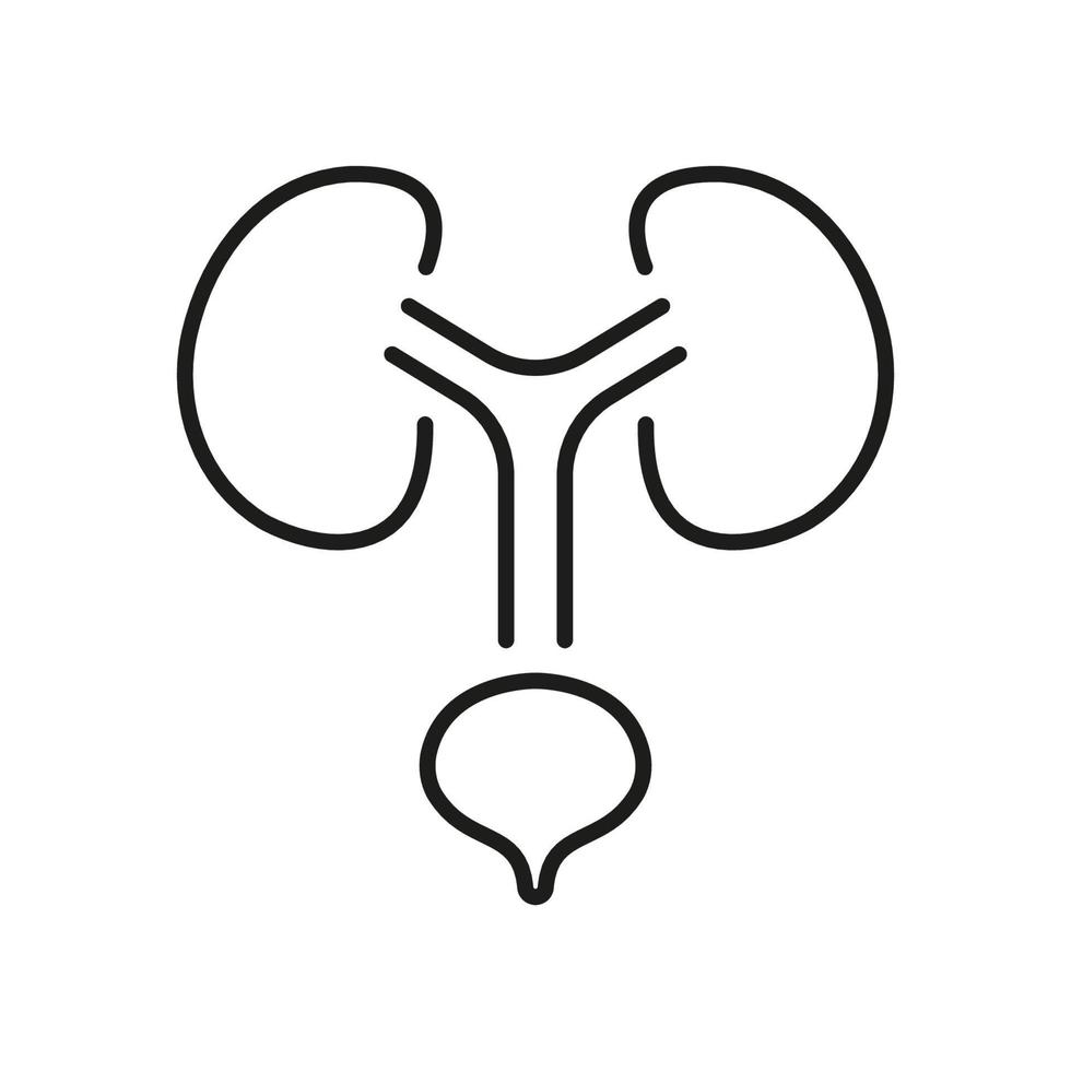 Human Urinary System Line Icon. Health Bladder and Kidney Linear Pictogram. Urology Disease Outline Icon. Anatomical Healthy Internal Organs. Editable Stroke. Isolated Vector Illustration.