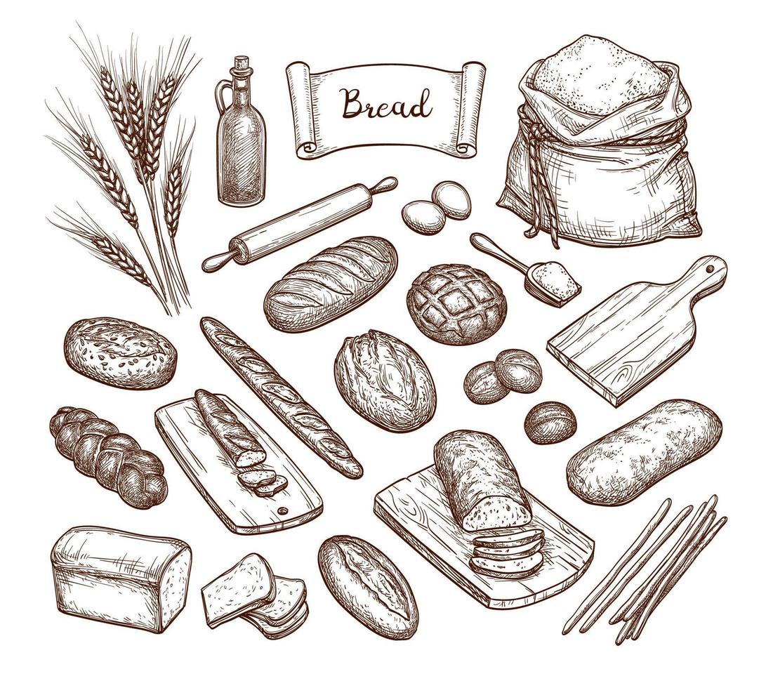 Bread and Ingredients. Big set. Hand drawn vector illustration. Isolated on white background. Vintage style.