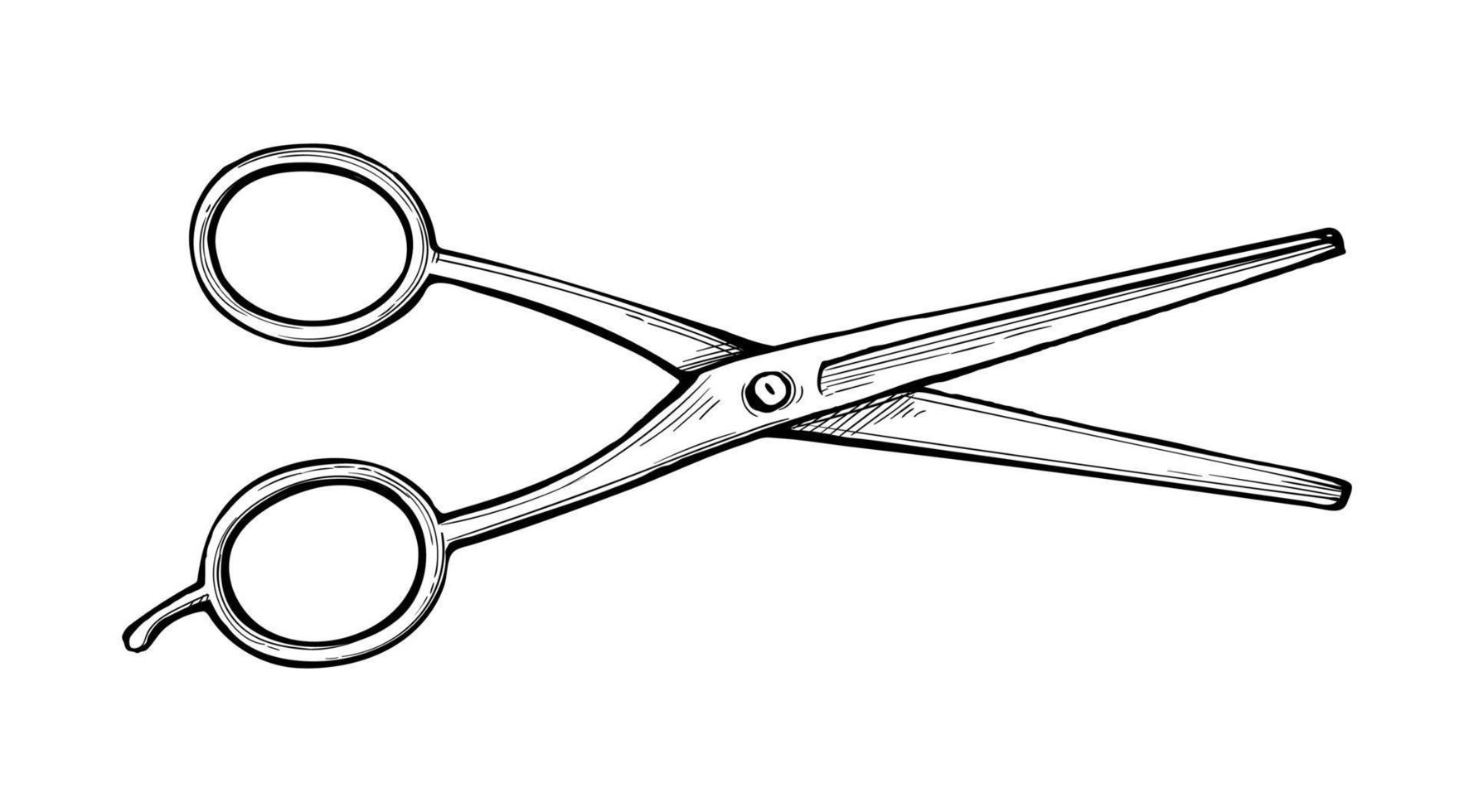 Barber scissor. Ink sketch isolated on white background. Hand drawn vector illustration. Retro style.