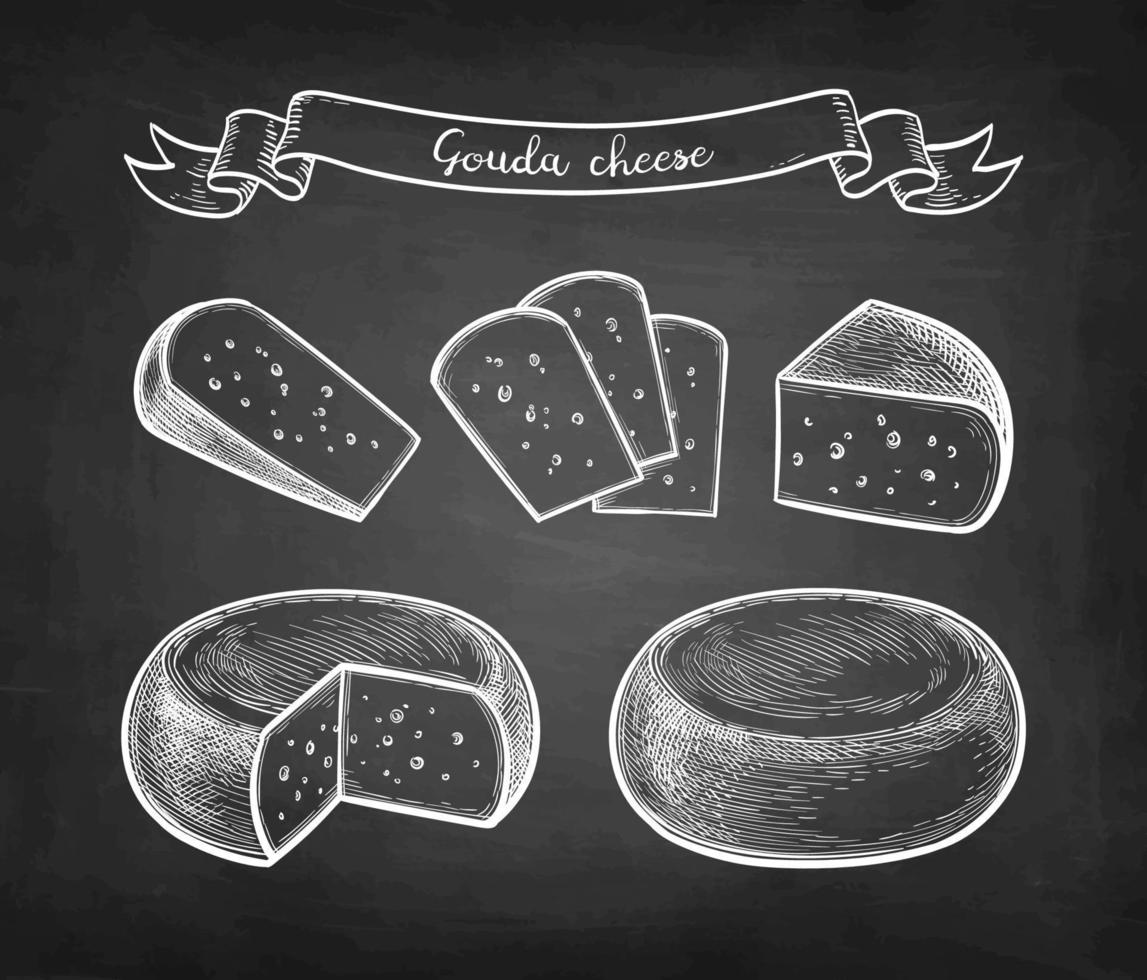 Gouda cheese big set. Wheels, piece and slices. Chalk sketch on blackboard background. Hand drawn vector illustration. Retro style.