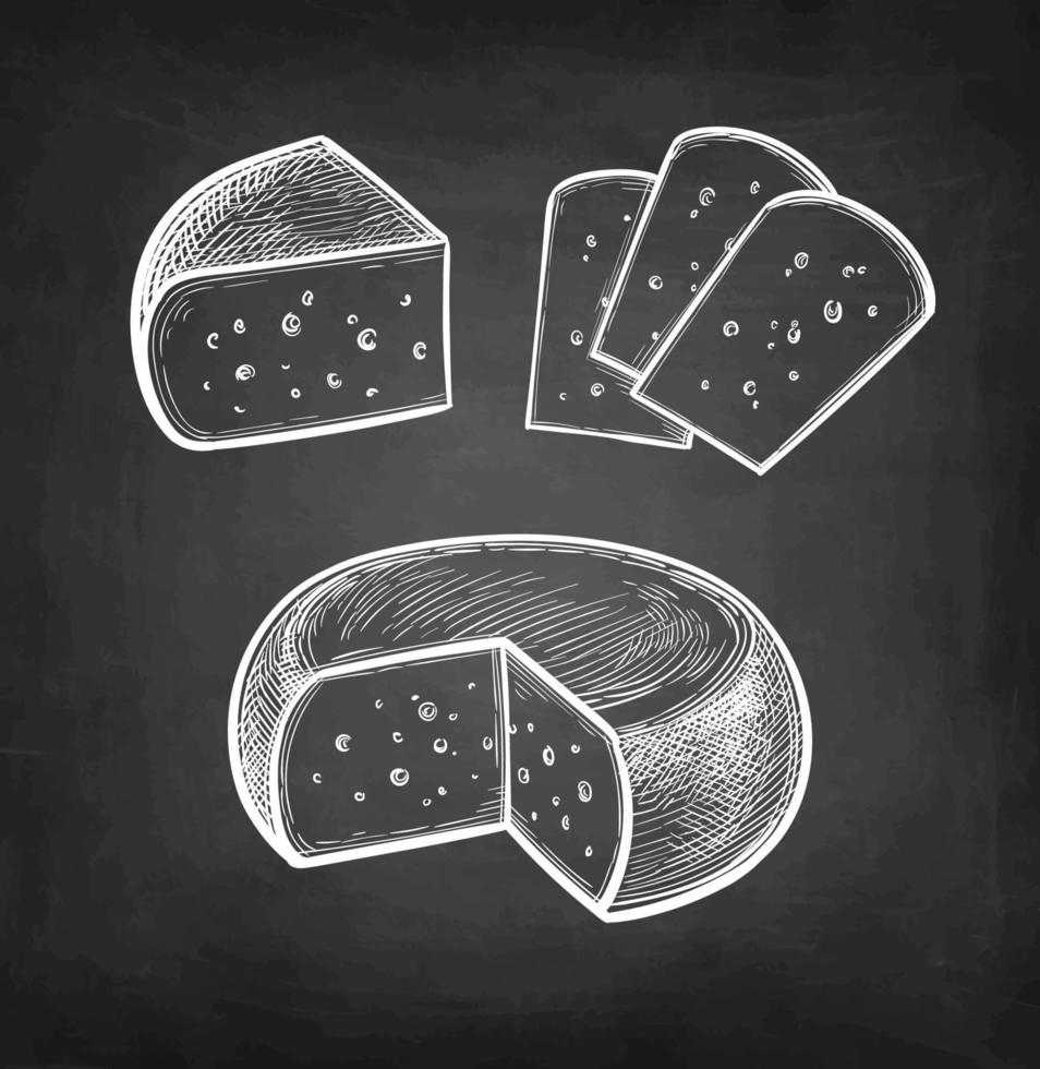 Gouda cheese. Chalk sketch on blackboard background. Hand drawn vector illustration. Retro style.