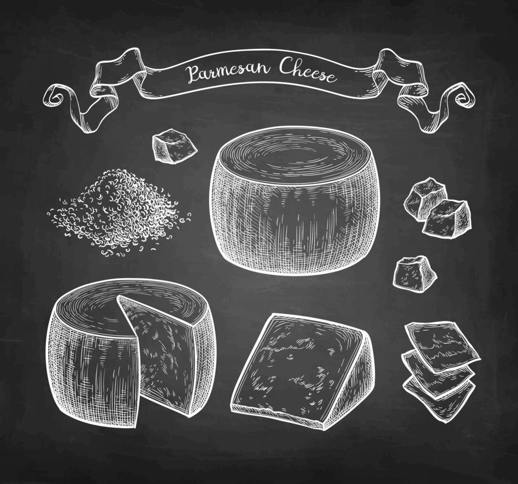 Parmesan cheese set. Chalk sketch on blackboard background. Hand drawn vector illustration. Vintage style stroke drawing.