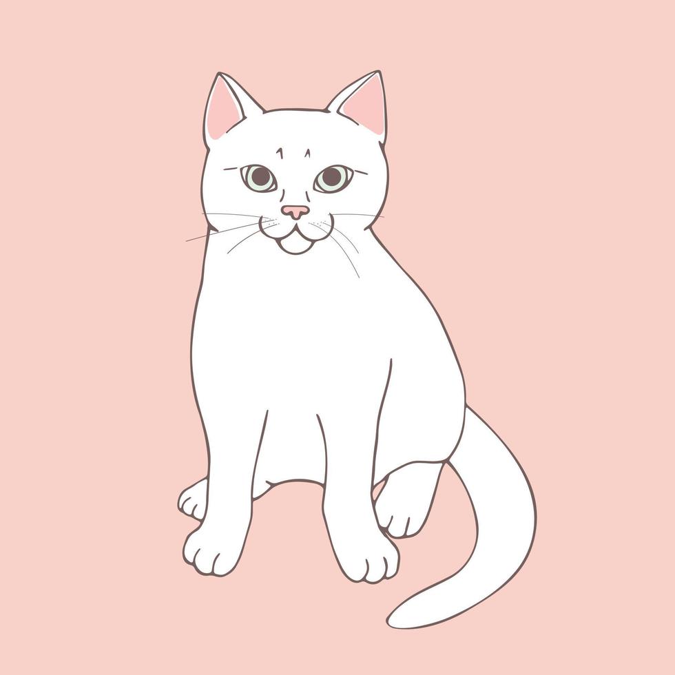 Cute white cat posing on pastel pink background. Sitting animal. Hand drawn cat. Sketch. Vector art