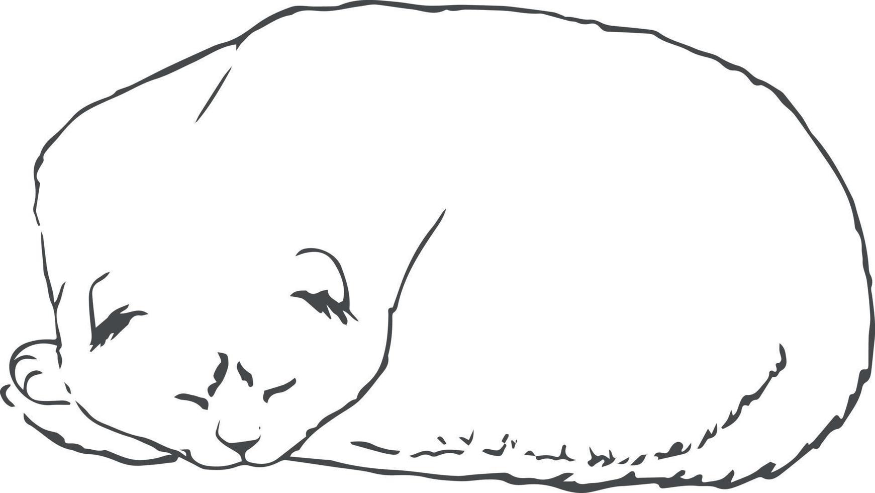 Cute sleeping cat sketch. Simple hand drawn art. Pet art. Cat contour isolated on white vector