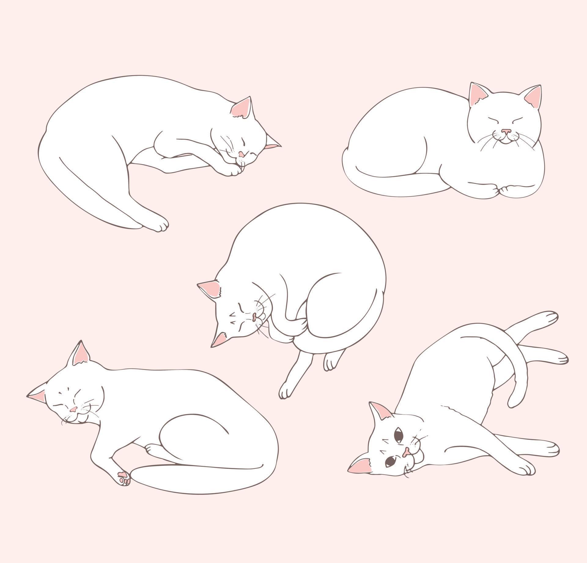 Лежащий кот рисунок