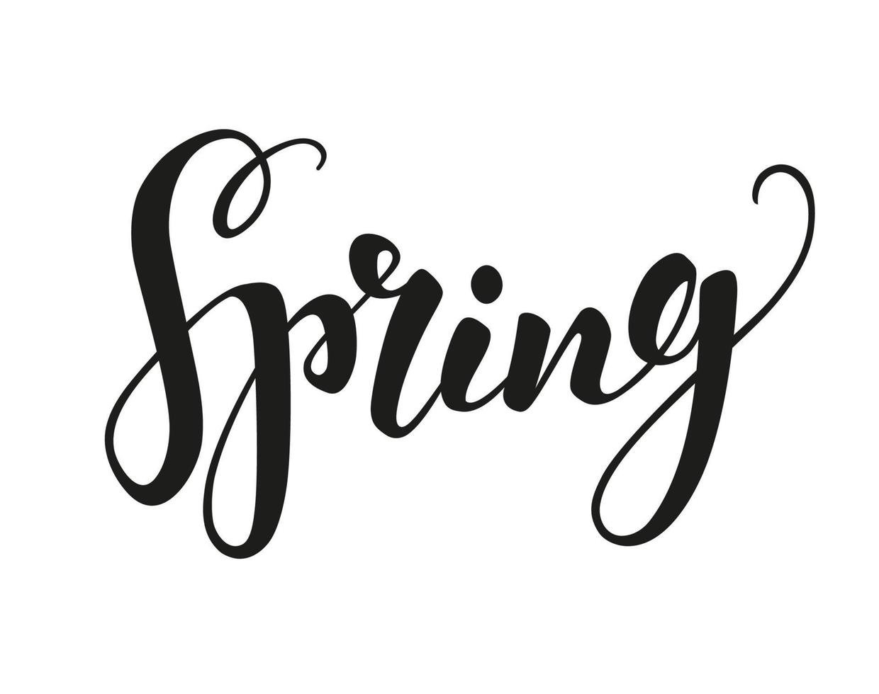Calligraphic Lettering. Spring text isolated on white. Vector illustration
