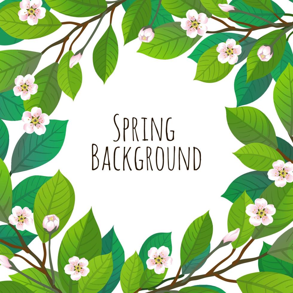 Spring floral background with cherry branches. Vector illustration.